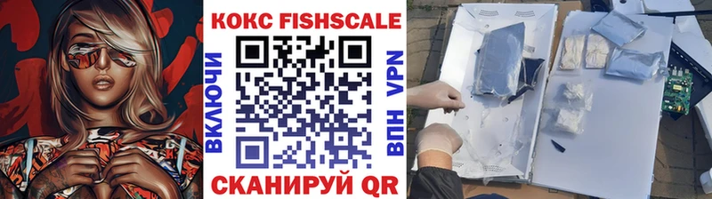 COCAIN FishScale  как найти закладки  Рузаевка 