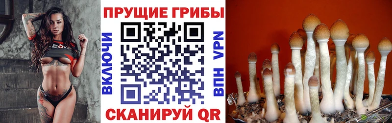 OMG ссылка  Рузаевка  Псилоцибиновые грибы ЛСД 