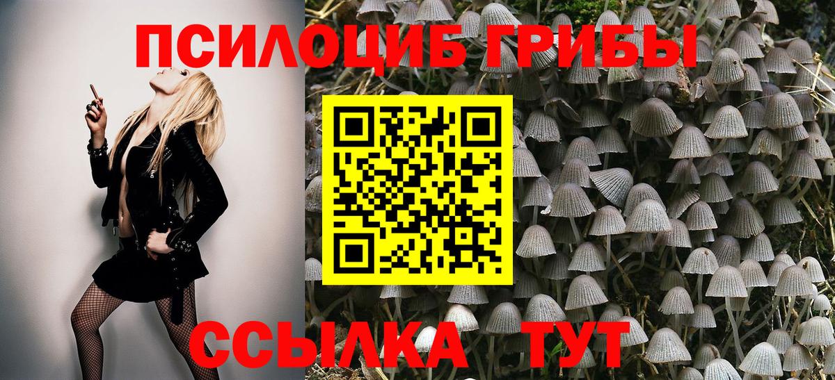 Псилоцибиновые грибы мухоморы Рузаевка