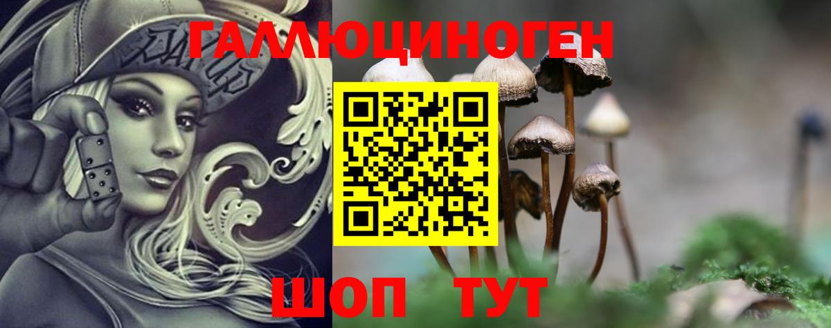 Псилоцибиновые грибы Magic Shrooms  Рузаевка 